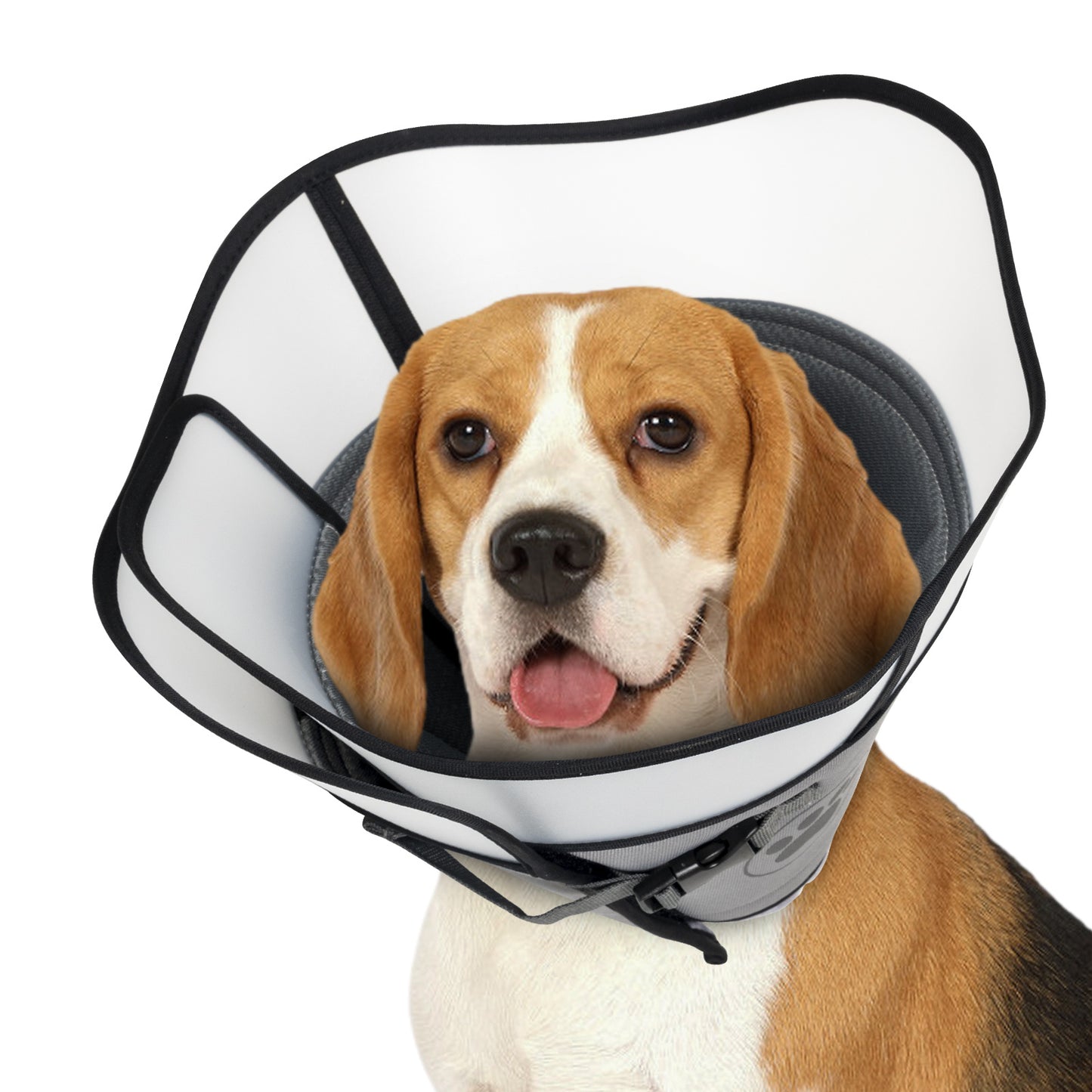 Pet Elizabethan Collar Double Layer