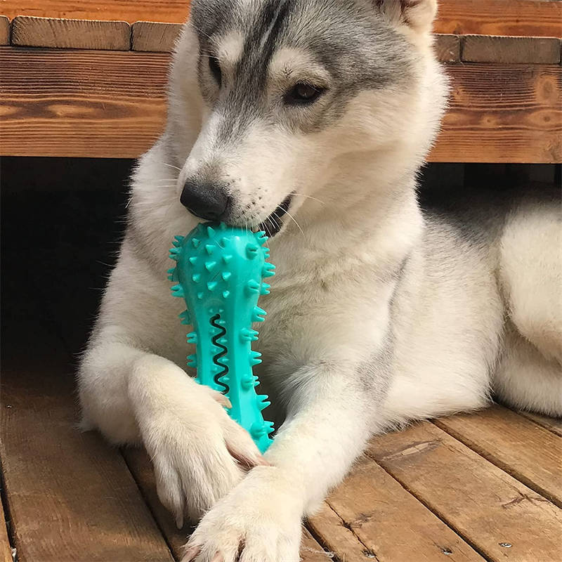 Chew Toys For Aggressive Dogs