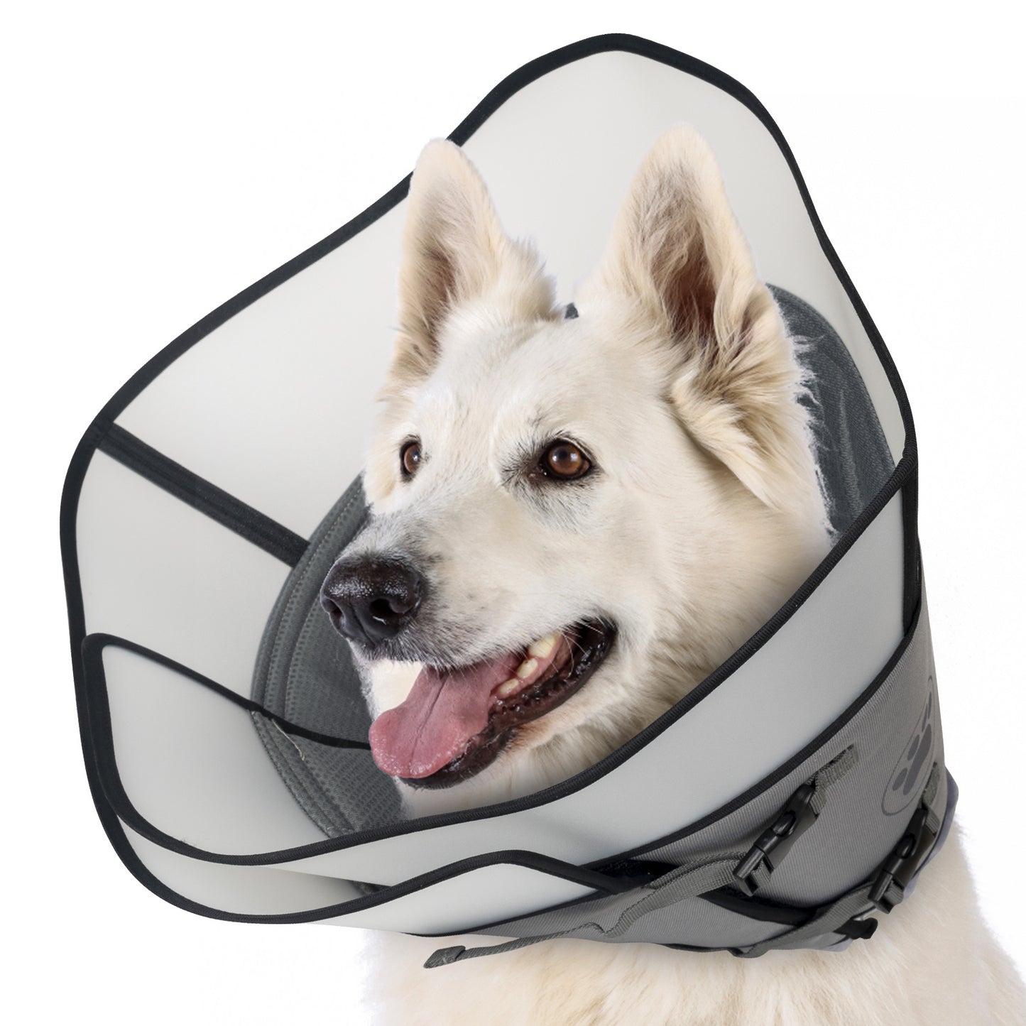 Pet Elizabethan Collar Double Layer