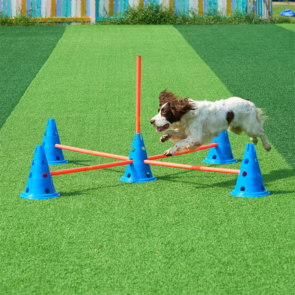 Dog Agility Hurdle Cone Set 6 PCS Kit-12 X Cones 6 X Agility Rods With Bag