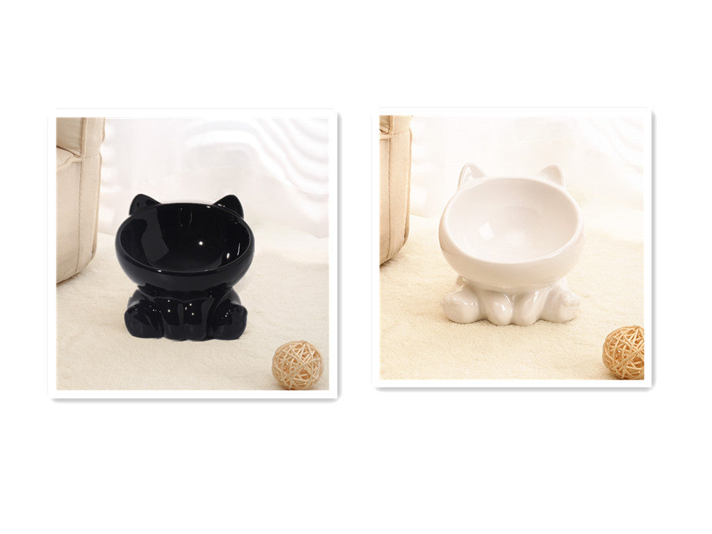 Cat and Dog Bowl