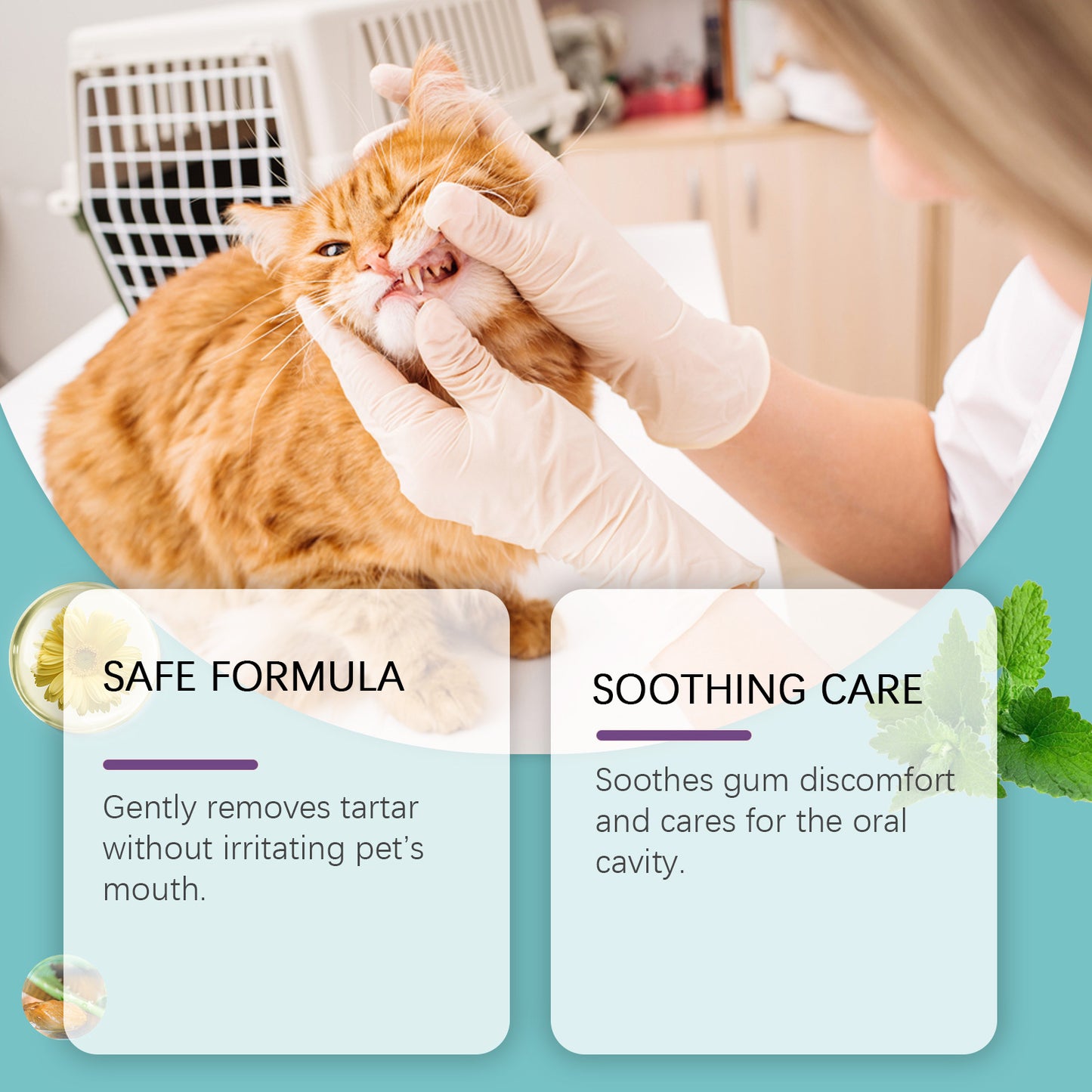 Pet Dental Teeth Cleaning Finger Wipes For Dogs & Cats -Selling On Amazon Is Prohibited