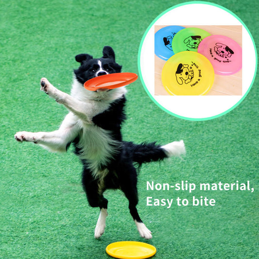 Dog Outdoor Interactive Toys